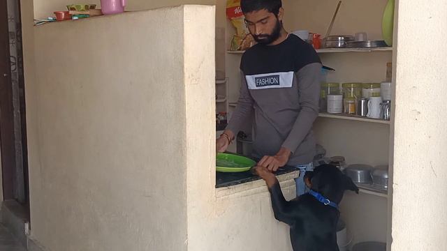 with Bruce || GMK song with dog Charlie 777 #rottweiler #doglover #youtube смотреть онлайн
