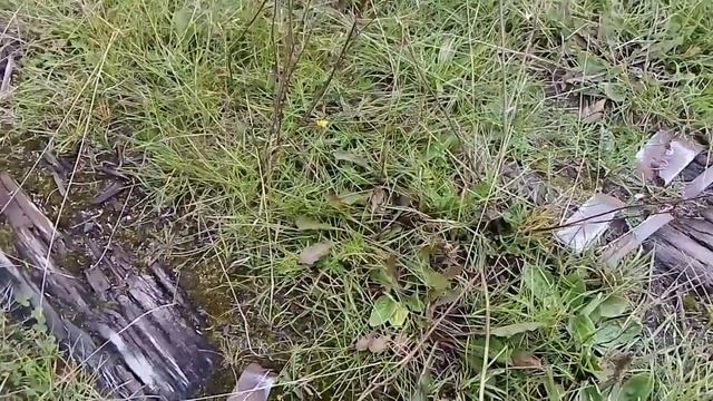 Сбор металла жд скобы.mp4 смотреть онлайн