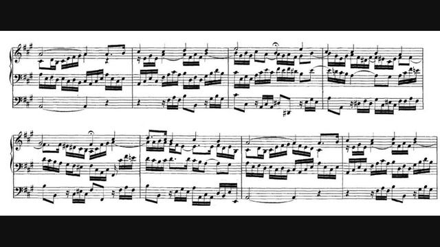 J. S. Bach Chorale Prelude Herr Christ, der ein'ge Gottes-Sohn BWV 601 смотреть онлайн