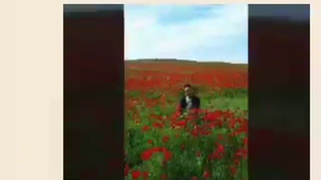 Слайд шоу Дилда Зарина смотреть онлайн