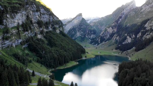 Собака, брошенная в приюте, увидела, как хозяева забирают нового питомца. ДО СЛЁЗ! смотреть онлайн