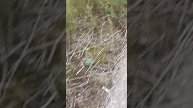 В посёлке призрак (моховое) смотреть онлайн