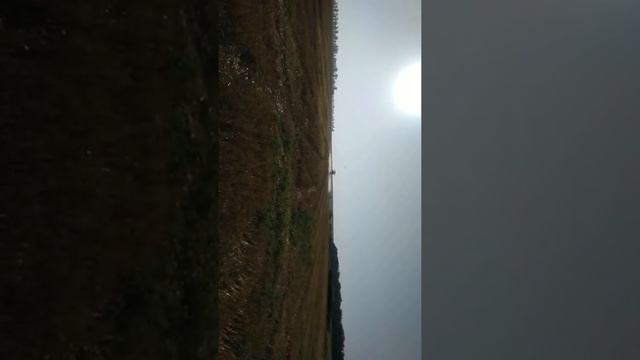 Борьба из сорняками, Раундап Макс!!! смотреть онлайн
