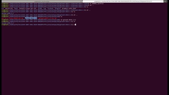 Hello World In GoLang - GoLang And GoLand (JetBrains IDE) Setup
