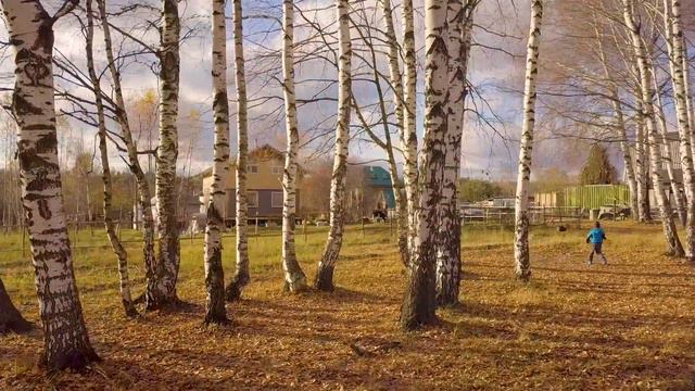 Цвет осени смотреть онлайн