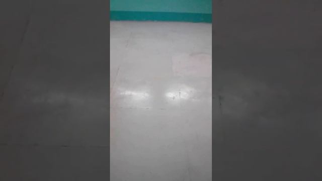 Полимерные полы, антистатические , подготовка основания, удаление старого слоя.