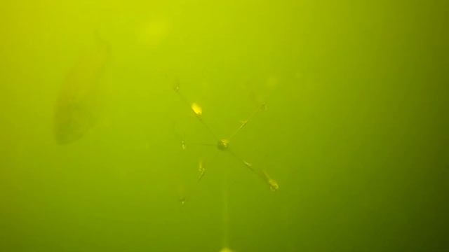 How to set up the GOFISH CAM for Fishing смотреть онлайн