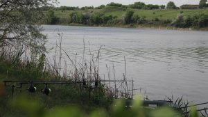 Рыбалка на сазана река Северский Донец 2024