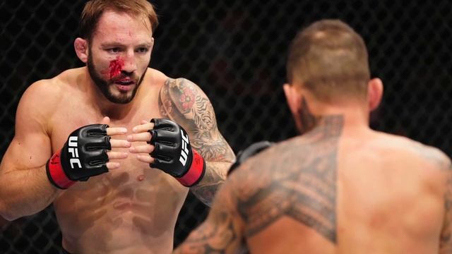 Зарплаты UFC 281, новые чемпионы UFC, следующий соперник Ислама Махачева смотреть онлайн