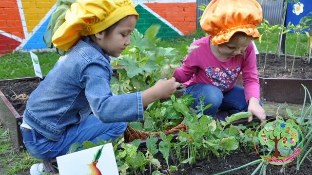 сбор урожая на огороде смотреть онлайн