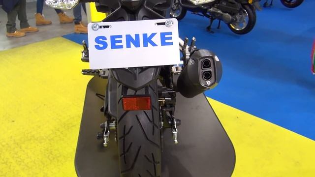 Senke SK125 22A T-Leopard (2017) Exterior And Interior