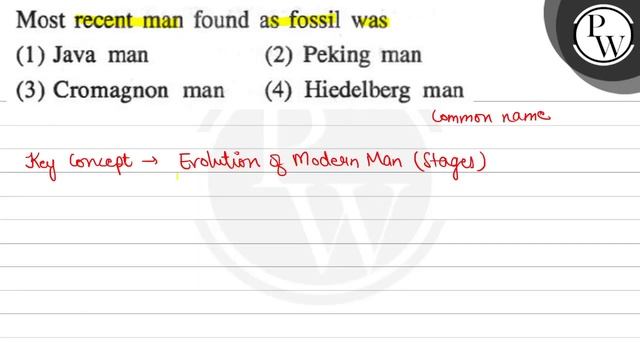 Most recent man found as fossil was
(1) Java man
(2) Peking man(3) Cromagnon man
(4) Hiedelberg m.. смотреть онлайн