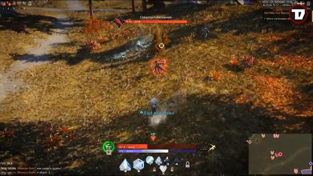 SKYFORGE - (Preview) Всё о победитовом паладине и хладоколдуне! смотреть онлайн