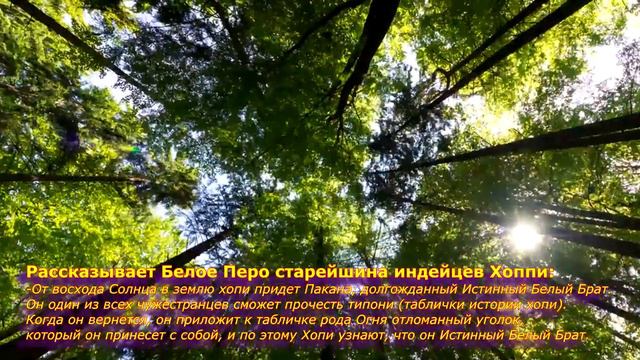 ПРОРОЧЕСТВО Индейцев Хопи о Судьбе России на 2018г смотреть онлайн