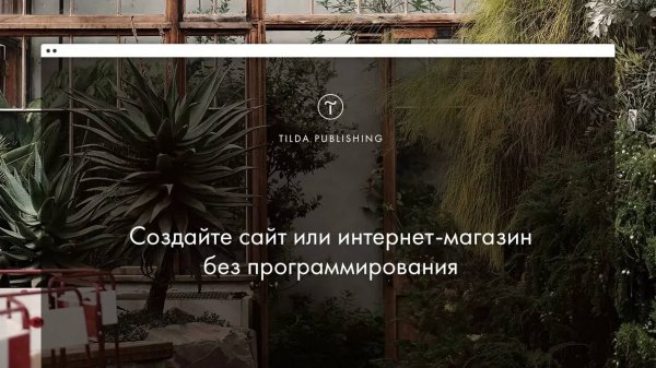 Tilda Publishing: видеогид по основным функциям