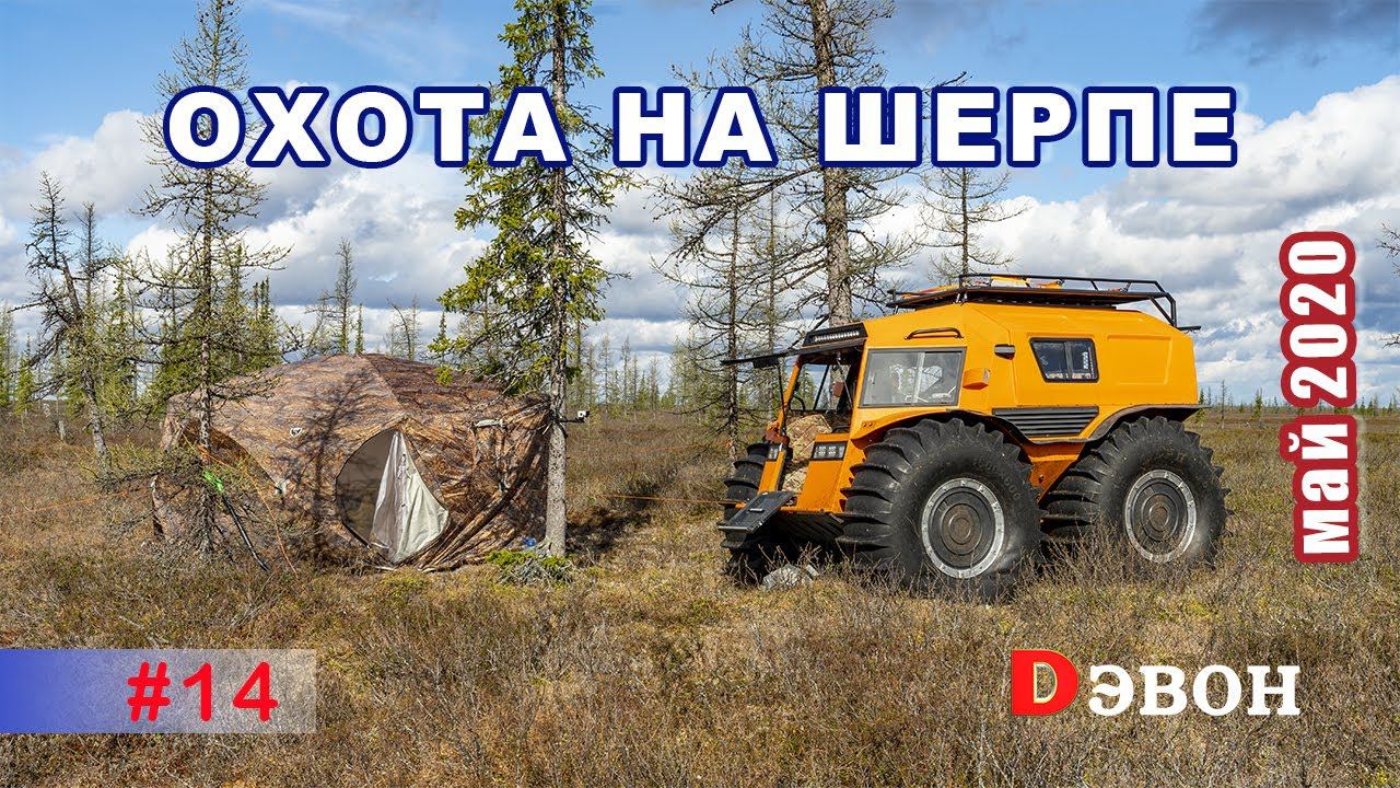 Шерп на охоте. К озёрам через лесотундру. Как правильно перевернуть Шерп.
