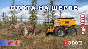 Шерп на охоте. К озёрам через лесотундру. Как правильно перевернуть Шерп.