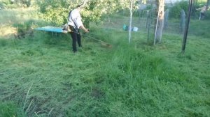 i Прекрасная Оксана косит Бензокосой Мотокосой Woman mows th grass petrolcutter brushcutter 2019060