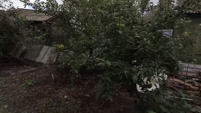 Исходники Canon EOS 80D. Скачать исходники - ссылка в описании смотреть онлайн