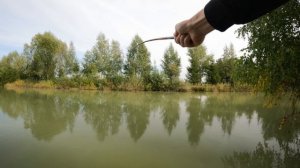 Микрофишинг (танаго). Ловля карпа на микро удочку