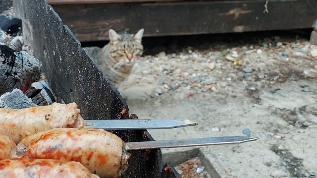 ТутГуд! затестил: летний отдых на Гидре