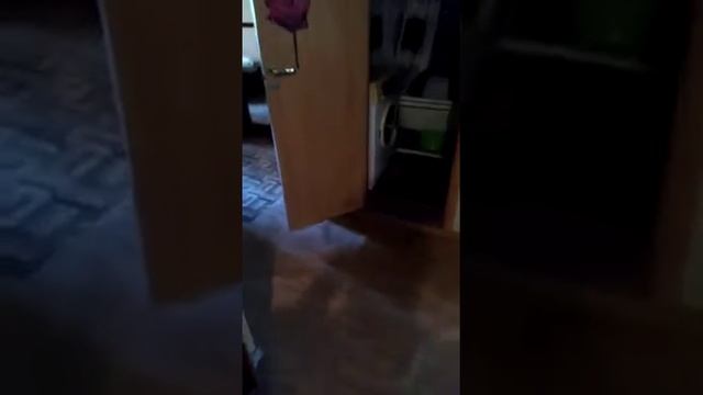 Жит быт на наших объектах (Липецк) смотреть онлайн