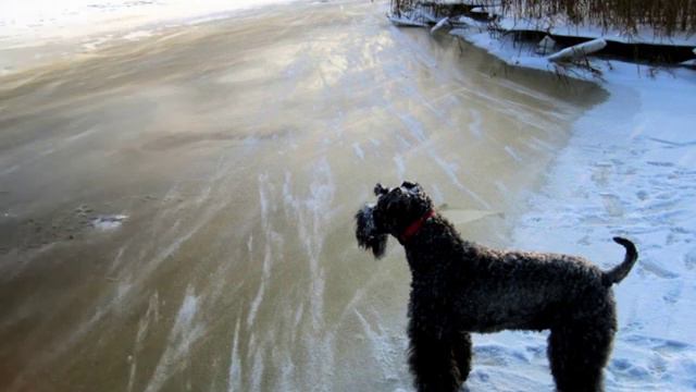 ЖИЗНЬ РЕКИ смотреть онлайн