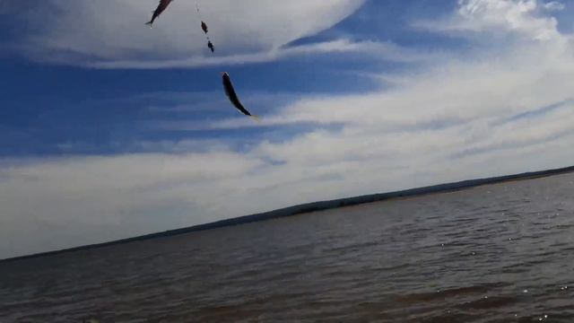 Я на Рыбалке | Поймал ОГРОМНОГО карася! смотреть онлайн