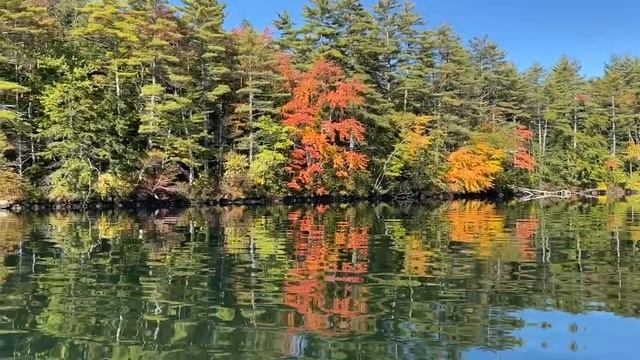 "Волшебная бесконечность", Слава Гауфберг смотреть онлайн