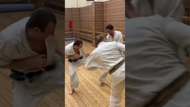 Удары ногами по лапам #okinawa #karate #dojo смотреть онлайн