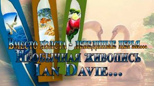 Вместо холста -  лебединые перья *  Необычная живопись Ian Davie