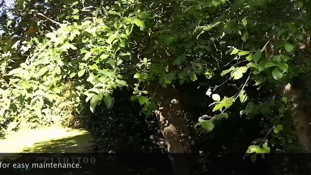 Squeezing a Hikvision DS-2DE2204IW-DE3 PTZ camera inside a garden lantern смотреть онлайн