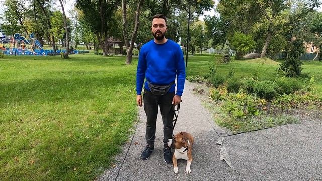 Маркер и Кликер в дрессировке. Что это такое и как применять? смотреть онлайн