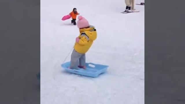 Новый вид спорта-джигитовка на санках))) смотреть онлайн