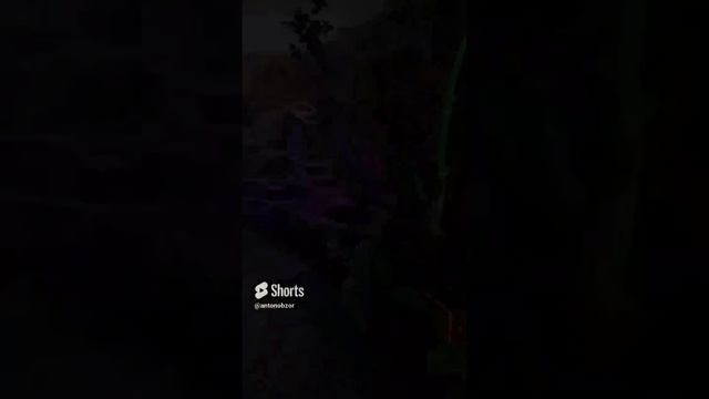 База отдыха на Азовском море! Посейдон. На море 2024! #антонобзорюга #трейлер #посейдонпересыпь смотреть онлайн