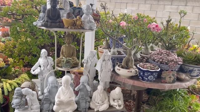 Kay's Garden - A Rainy Day In My Garden 5/16/ 2021