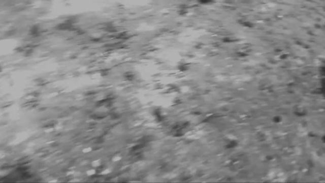 Scuba Diving Protea Banks South Africa  Oceanic Blacktip And Giant Guitar Sharks