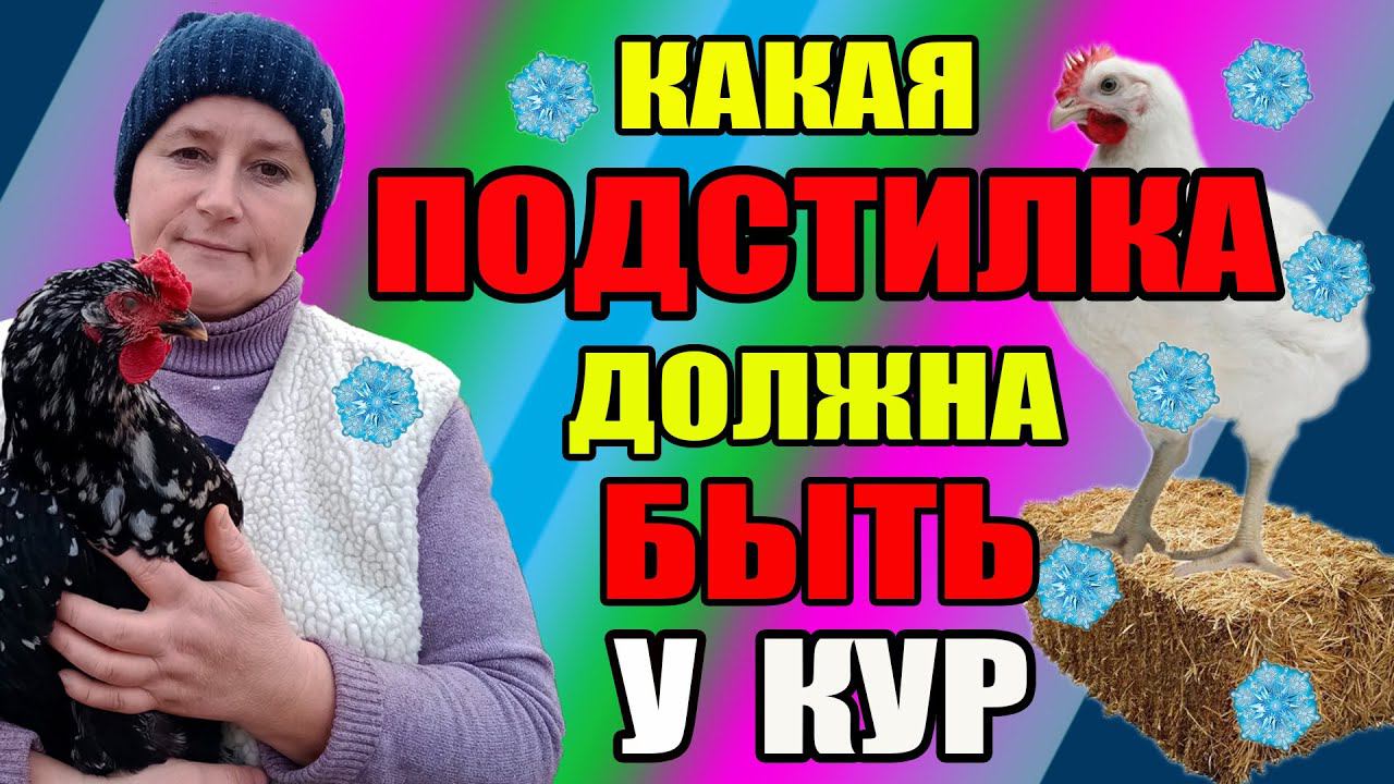 Какая подстилка должна быть у кур зимой. смотреть онлайн