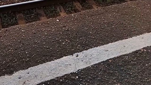 Стихотворение "Пройдёт лет десять, может быть пятнадцать..." смотреть онлайн