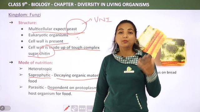Kingdom Fungi - Diversity in Living Organisms | Class 9 Biology смотреть онлайн