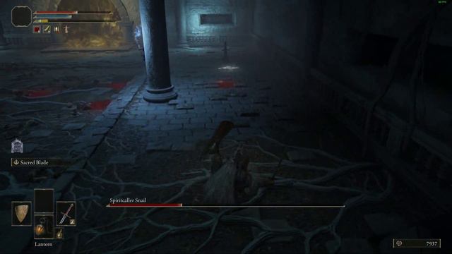 ⚪️ELDEN RING - Spiritcaller Snail (Road's End Catacombs) смотреть онлайн