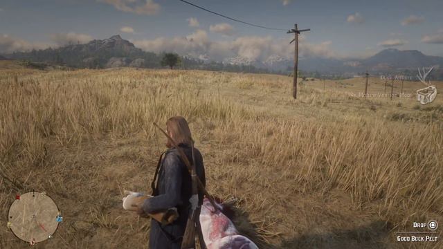 Red Dead Redemption 2 | Epic Lasso смотреть онлайн