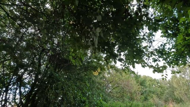 Full-Time Van Life and Police Encounters in Stratford upon Avon смотреть онлайн