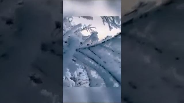 Новогодняя сказка от Траиспаевой Гульнар Амантаевны, руководителя 4 "В" класса смотреть онлайн