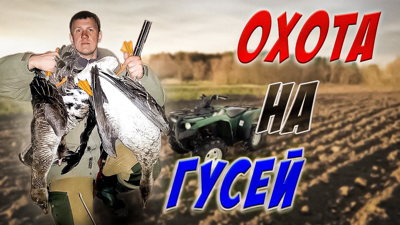 охота на гуся! открытие весенней охоты смотреть онлайн