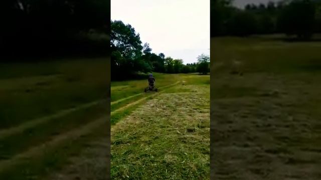 Установили двигатель мотоблок на муравей смотреть онлайн