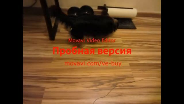 Поставушки на Щуку смотреть онлайн