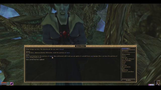 Let's Play Morrowind (Blind) - Part 29 - Telvanni Grunt Work смотреть онлайн