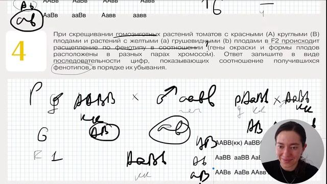 Топ-10 заданий №4 ЕГЭ по Биологии | ЕГЭ по биологии смотреть онлайн