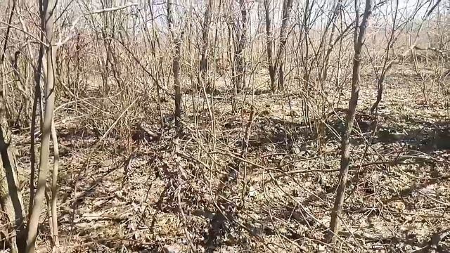Ищю металл и вывожу на мотыке. Цена зависла. смотреть онлайн